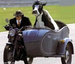 ferfias_jatekok_afa_visszaigenyles_motorozas