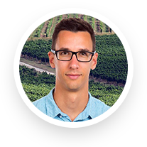 Gergely Ágnes